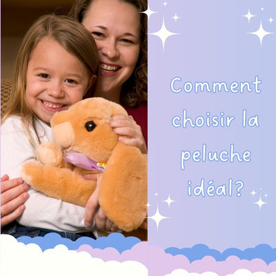 Comment choisir la peluche idéal