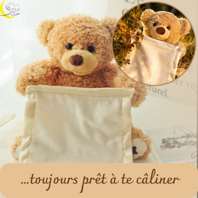 ours-en-peluche-brun-interactif