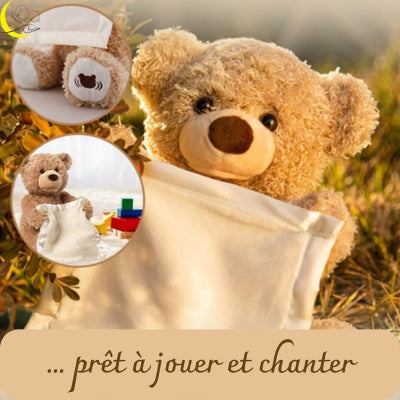 ours-en-peluche-divertissant