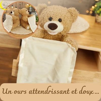 ours-en-peluche-serviette